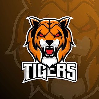 Virtus.pro